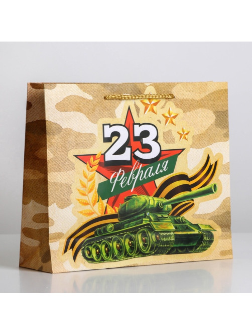 Пакет подарочный ламинированный, упаковка, «С 23 февраля», ML 25×21×8 см