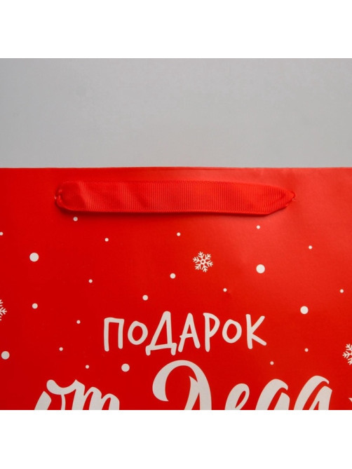 Пакет подарочный новогодний «Подарок от Деда Мороза», 25.5×30×9 см