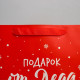Пакет подарочный новогодний «Подарок от Деда Мороза», 25.5×30×9 см