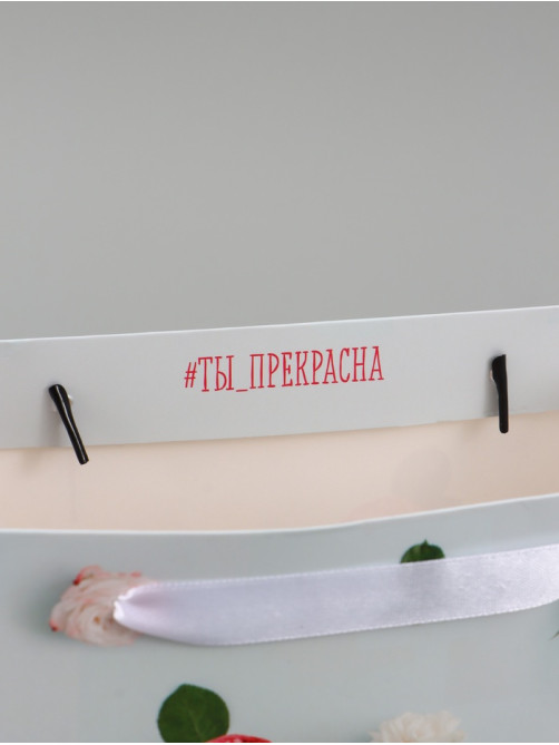 Пакет подарочный ламинированный, упаковка, «Ты прекрасна», MS 18×23×8 см