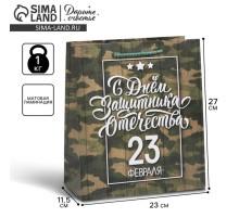 Пакет подарочный ламинированный, упаковка, «С 23 февраля», ML 27×23×11.5 см