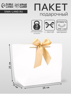 Пакет подарочный ламинированный, с лентой «Белый», горизонтальный, 26×25×11 см