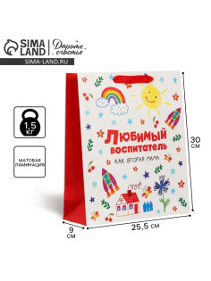 Пакет подарочный ламинированный, упаковка, «Любимый воспитатель», M 25.5×30×9 см