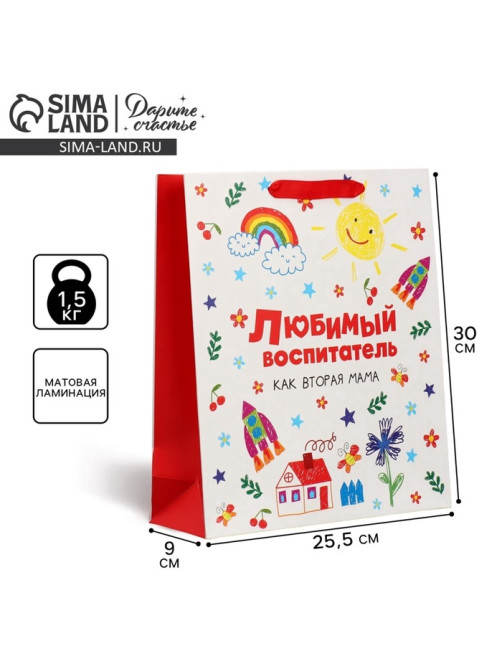 Пакет подарочный ламинированный, упаковка, «Любимый воспитатель», M 25.5×30×9 см