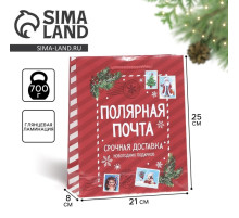 Пакет подарочный новогодний ламинированный «Полярная почта», ML 21×25×8 см