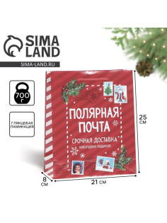 Пакет подарочный новогодний ламинированный «Полярная почта», ML 21×25×8 см