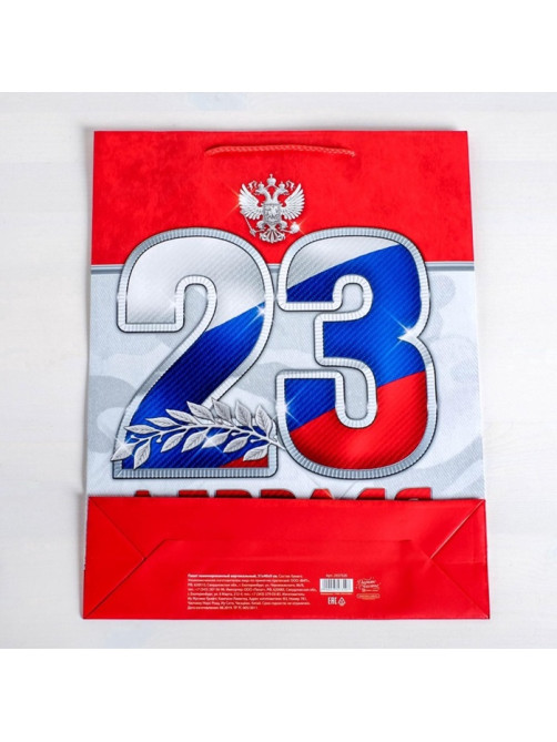 Пакет подарочный ламинированный, упаковка, «23 февраля!», MS 18×23×10 см