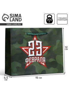 Пакет подарочный ламинированный, упаковка, «С 23 февраля», S 15×12×5.5 см