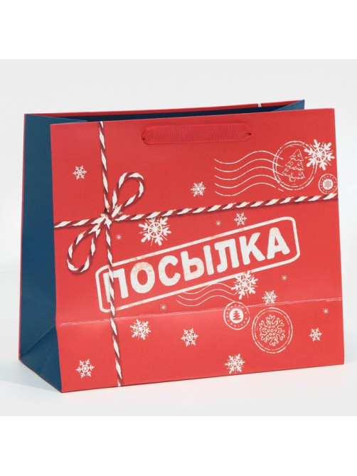 Пакет подарочный новогодний ламинированный «Посылка для тебя», MS 18×23×10 см