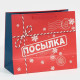 Пакет подарочный новогодний ламинированный «Посылка для тебя», MS 18×23×10 см