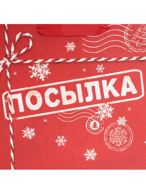 Пакет подарочный новогодний ламинированный «Посылка для тебя», MS 18×23×10 см
