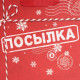 Пакет подарочный новогодний ламинированный «Посылка для тебя», MS 18×23×10 см
