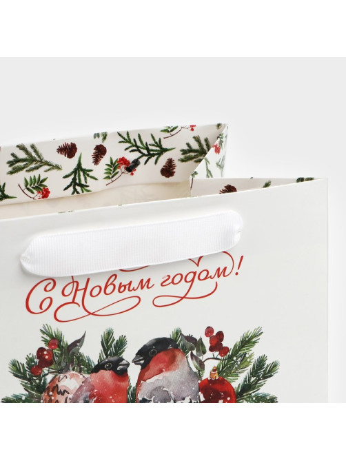 Пакет подарочный новогодний с широким дном «С Новым годом», 20×14×13 см