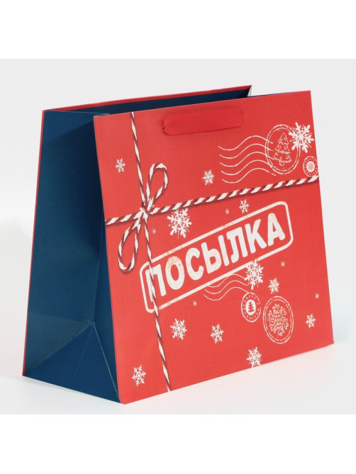 Пакет подарочный новогодний ламинированный «Посылка для тебя», MS 18×23×10 см
