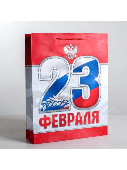 Пакет подарочный ламинированный, упаковка, «23 февраля!», MS 18×23×10 см