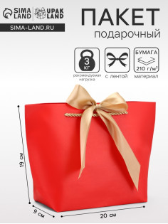 Пакет подарочный ламинированный, с лентой «Красный», горизонтальный, 19×20×9 см
