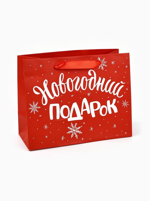 Пакет подарочный ламинированный «Новогодний подарок», MS 23×18×10 см