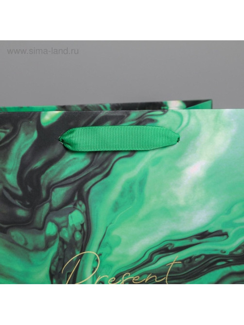 Пакет подарочный ламинированный, упаковка, Present for you, MS 18×23×10 см