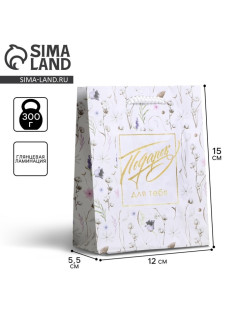 Пакет подарочный ламинированный, упаковка, Gift for you, S 12 х 15 х 5.5 см
