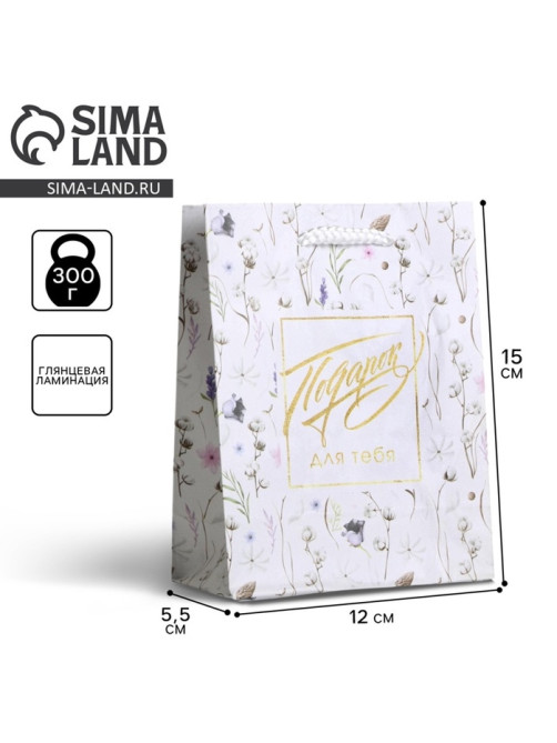 Пакет подарочный ламинированный, упаковка, Gift for you, S 12 х 15 х 5.5 см