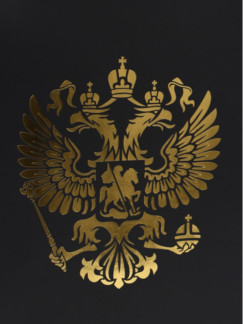Пакет подарочный, упаковка, «Герб России», 32×26×12 см