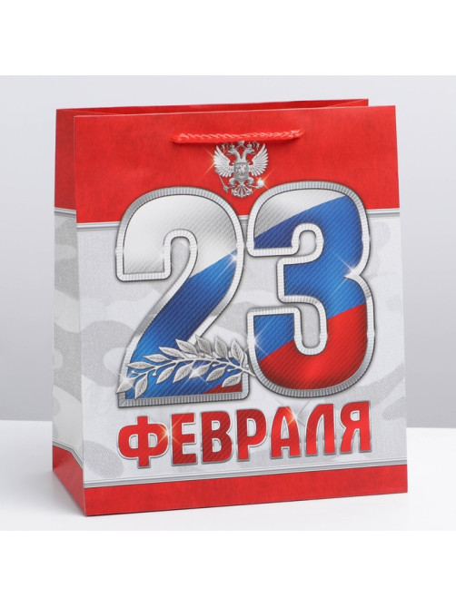 Пакет подарочный ламинированный, упаковка, «23 февраля!», ML 23×27×11.5 см