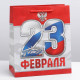 Пакет подарочный ламинированный, упаковка, «23 февраля!», ML 23×27×11.5 см