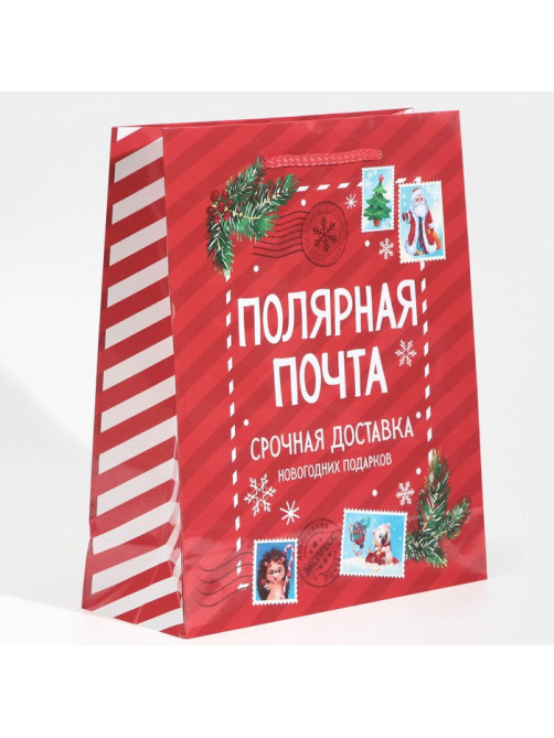 Пакет подарочный новогодний ламинированный «Полярная почта», ML 21×25×8 см