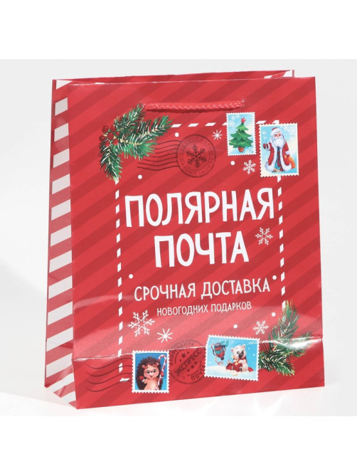 Пакет подарочный новогодний ламинированный «Полярная почта», ML 21×25×8 см