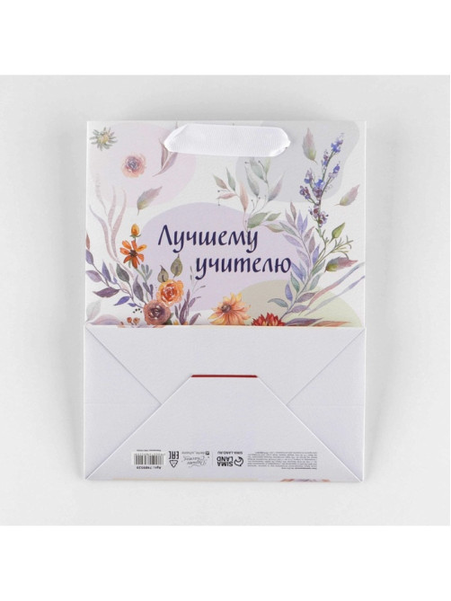 Пакет подарочный ламинированный, упаковка, «Лучшему учителю», MS 18×23×10 см