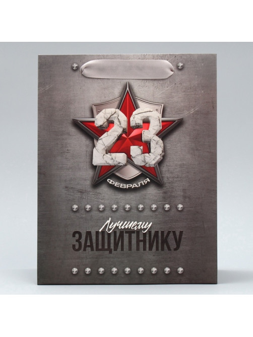 Пакет подарочный ламинированный, упаковка, «С 23 февраля», ML 23×27×11.5 см