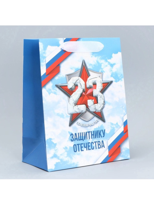 Пакет подарочный ламинированный, упаковка, «С 23 февраля», MS 18×23×10 см
