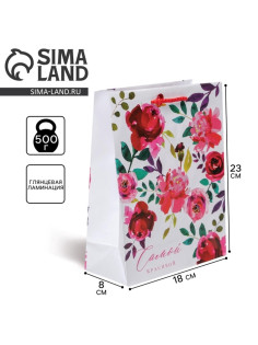 Пакет подарочный ламинированный, упаковка, Present for you, MS 18×23×8 см