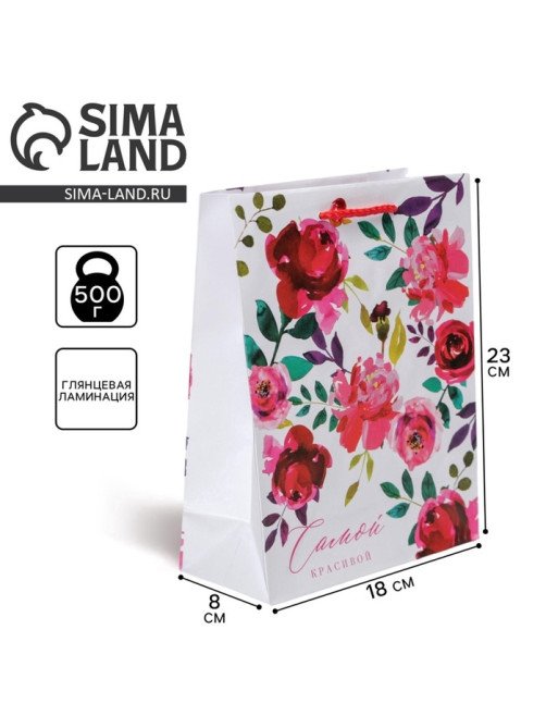 Пакет подарочный ламинированный, упаковка, Present for you, MS 18×23×8 см