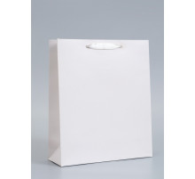 Пакет подарочный ламинированный, упаковка, «Молочный», M 26×30×9 см