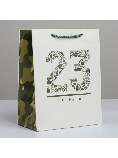 Пакет подарочный ламинированный, упаковка, «23 февраля», MS 18×23×10 см