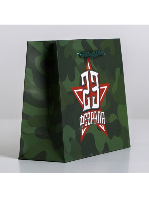 Пакет подарочный ламинированный, упаковка, «С 23 февраля», S 15×12×5.5 см