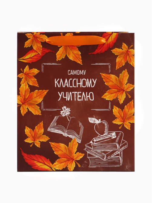 Пакет подарочный ламинированный «Учитель года», ML 27×23×11.5 см