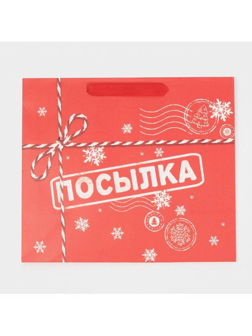 Пакет подарочный новогодний ламинированный «Посылка для тебя», MS 18×23×10 см