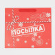 Пакет подарочный новогодний ламинированный «Посылка для тебя», MS 18×23×10 см