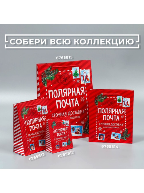 Пакет подарочный новогодний ламинированный «Полярная почта», ML 21×25×8 см