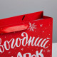 Пакет подарочный «Новогодний подарок», ML 23×27×11.5 см