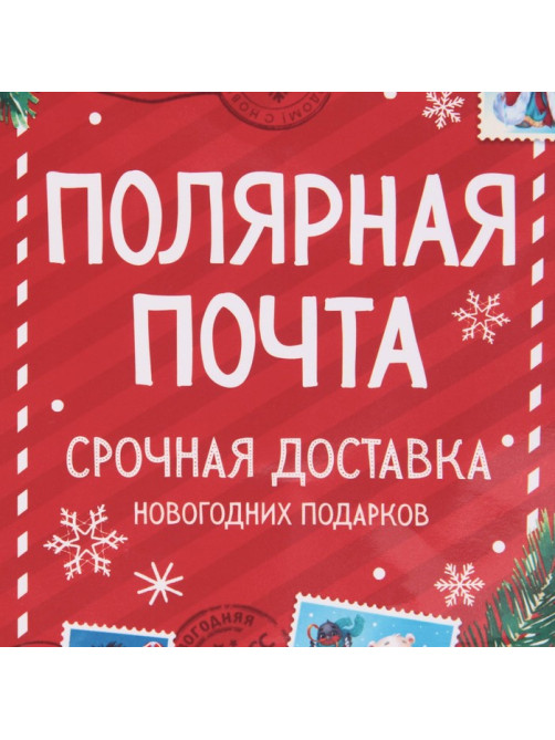 Пакет подарочный новогодний ламинированный «Полярная почта», ML 21×25×8 см