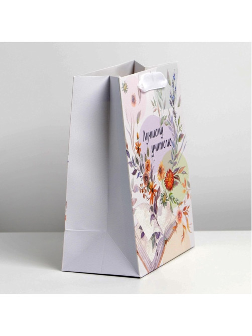 Пакет подарочный ламинированный, упаковка, «Лучшему учителю», MS 18×23×10 см