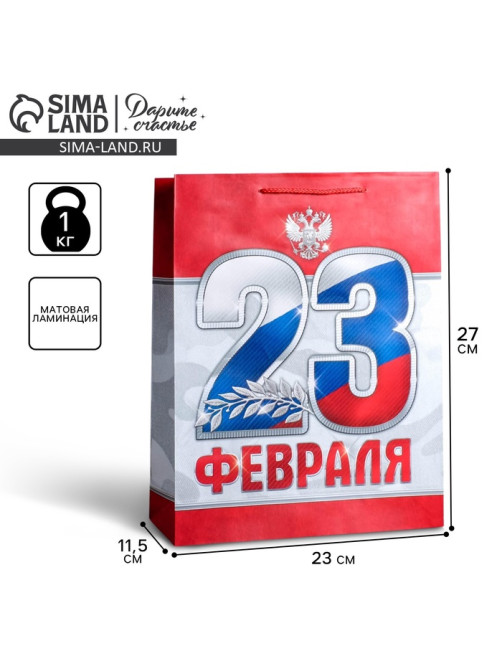 Пакет подарочный ламинированный, упаковка, «23 февраля!», ML 23×27×11.5 см