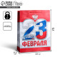Пакет подарочный ламинированный, упаковка, «23 февраля!», ML 23×27×11.5 см