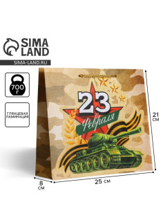 Пакет подарочный ламинированный, упаковка, «С 23 февраля», ML 25×21×8 см