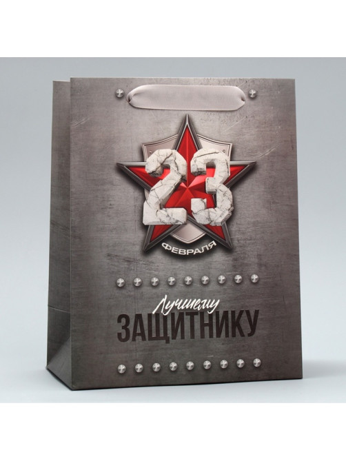 Пакет подарочный ламинированный, упаковка, «С 23 февраля», ML 23×27×11.5 см