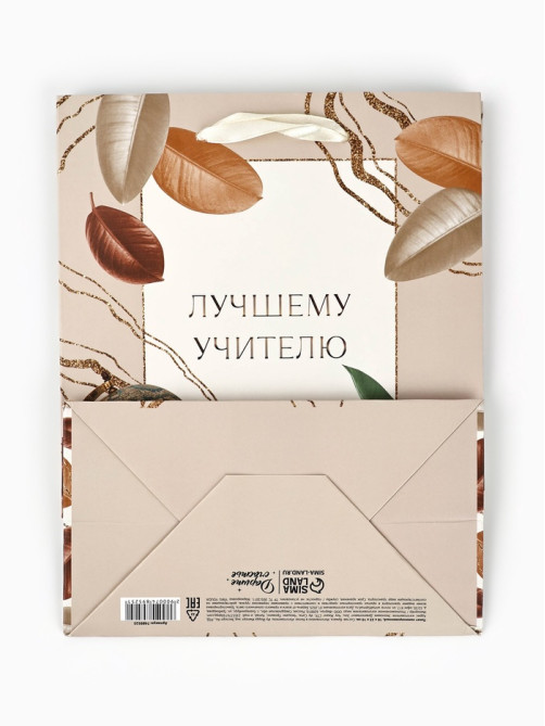 Пакет подарочный ламинированный, упаковка, «Лучшему учителю», MS 18×23×10 см