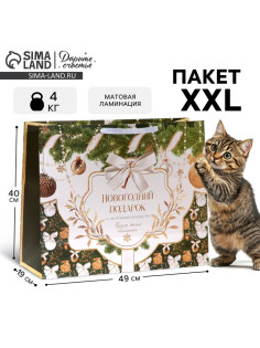 Пакет подарочный новогодний ламинированный «Новогодний подарок», XL 49×40×19 см